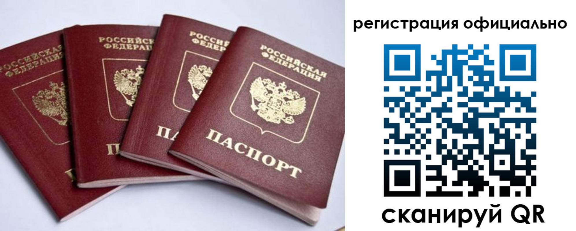 пропишу в квартире в Алексине